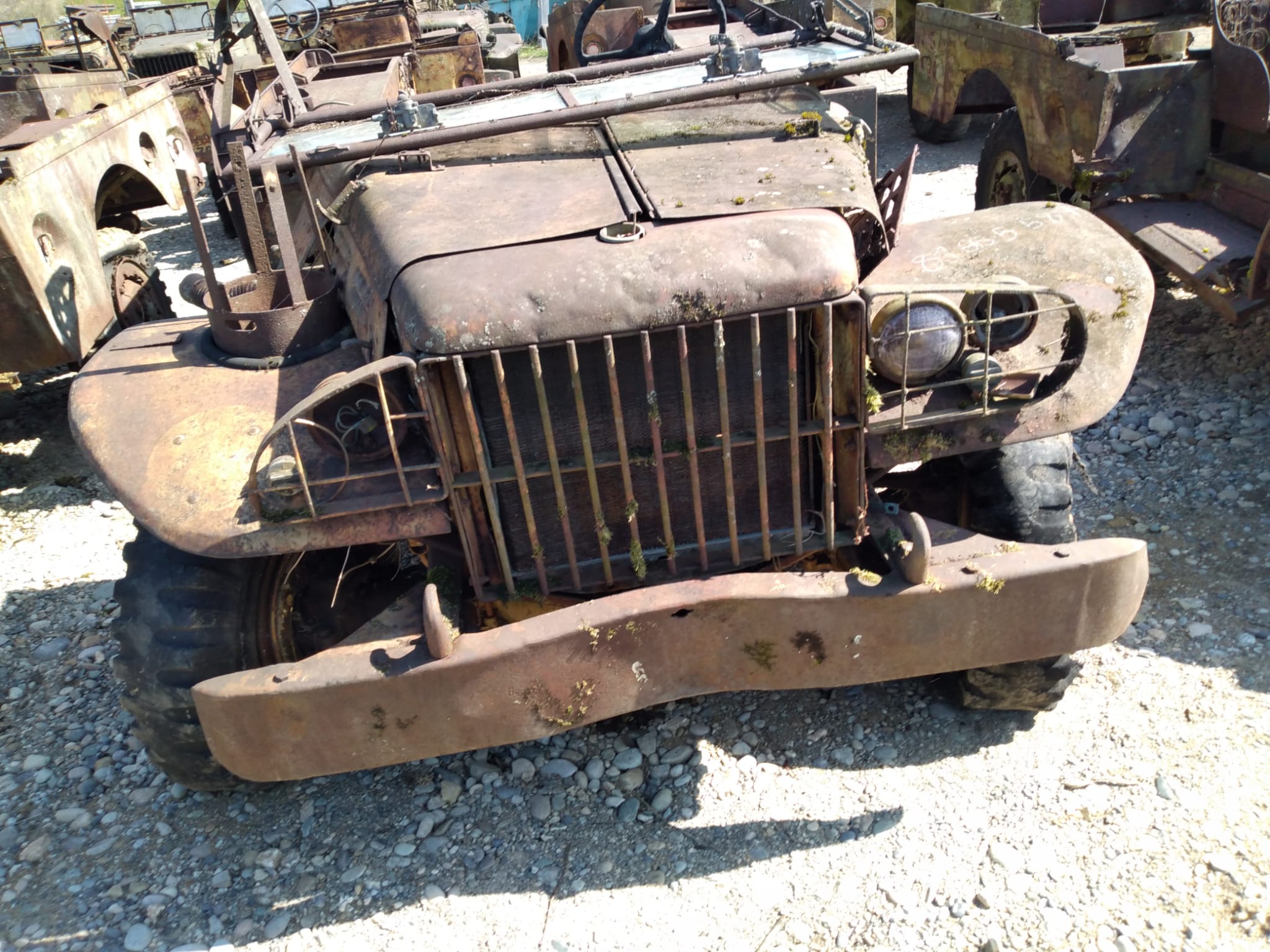 DODGE WC 51
